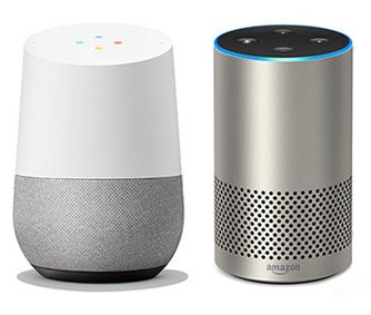 Google Assistant/Amazon Alexa